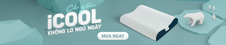 Category Gối giảm ngáy Icool